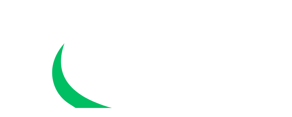 Payal Cargo Packers Logo
